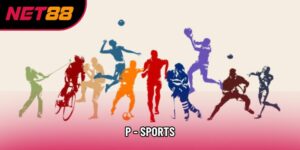 P - sports - Sảnh Cược Thể Thao Hiện Đại & Đẳng Cấp Châu Âu